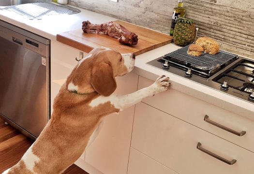Cleaning Kitchen Cabinets