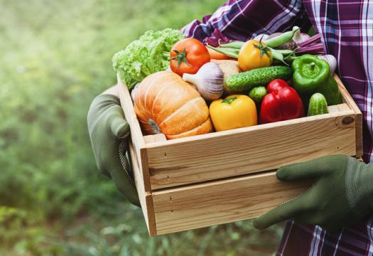 Person holding crate of fruits and veggies | Merry Maids