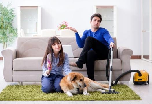 Keep Dog From Tracking Dirt