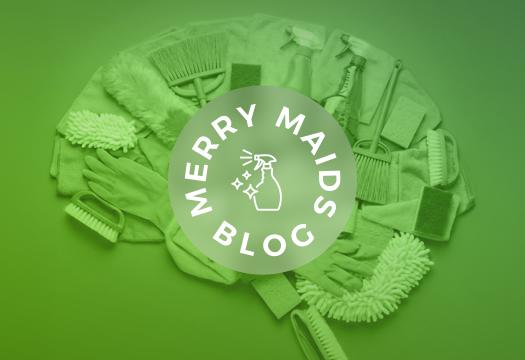 Green cleaning items shaped like a brain